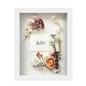 FrameWorks 8.5” x 11” White Wooden Shadow Box Frame – Display Case with Soft Felt Back, Memory Box with Tempered Glass, Display Box with Elegant White Ball Push Pins, Wooden Flower Box
