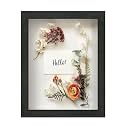 FrameWorks 8.5x11 Driftwood Wooden Shadow Box Frame – Soft Felt Back, Tempered Glass, and Included Elegant White Ball Push Pins