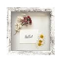 FrameWorks 8x8 Driftwood Wooden Shadow Box Frame – Soft Felt Back, Tempered Glass, and Included Elegant White Ball Push Pins
