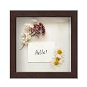 FrameWorks Mahogany Wooden Shadow Box Frame - 8' x 8' Display Case with Soft Felt Back, Tempered Glass, Elegant White Ball Push Pins