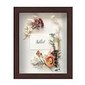 FrameWorks Mahogany Wooden Shadow Box Frame - 8' x 10' Display Case with Soft Felt Back, Tempered Glass, Elegant White Ball Push Pins