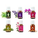 Aroma Essential Oil Fragrance Oils For Diffusers, Home Care, Candle Making, Fragrance, Aromatherapy, Humidifiers (Lavender+Sandal+LemonGrass+TeaTree+PinkRose+Orchid, 30 ml)