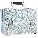 FRENESSA Makeup Case Cosmetic Train Case Organizer 11.8 Inch Large Makeup Box Travel Storage Make Up Train Carrying Case with 6 Trays Locking Hard Vanity Storage Glitter Silver