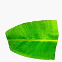 Fresh Banana Leaf, 5 Piece