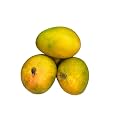 Fresh Mango Alphonso South, 6 Pieces, (Approx.170g/Pc)