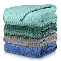 Frienda 4 Pcs Baby Fuzzy Blanket for Newborn 32x24,Classic Color
