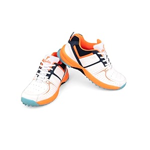 frolic desire edition men39s cricket shoes light weight