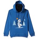 Frozen Solid Sweatshirt with Hood - Royal