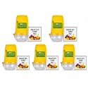 Fruit Fly Trap with Lure Pack of 5 | Reusable Non-Toxic Insect Trap for Fruit Flies | Easy to Use Hanging Fly Catcher for Orchards, Gardens, Vegetables, Kitchen, Home & Farms