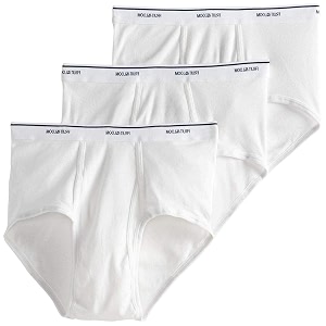 Fruit of the Loom Mens Brief Pack