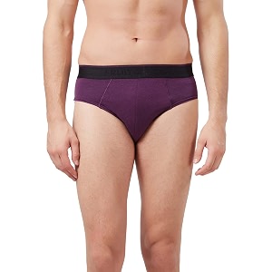 fruit of the loom men39s hip brief