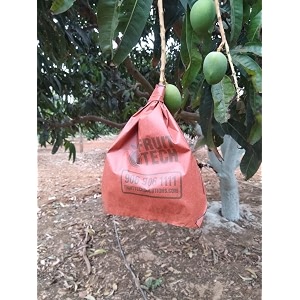 fruit tech mango protectiongrowth covers and bags 17x20cm