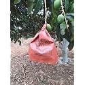 FRUIT TECH Mango Protection/Growth Covers and Bags 17X20CM