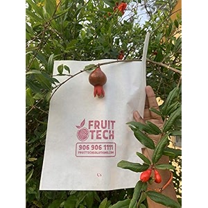 39fruit tech39 pomegranate fruit protectiongrowth covers and bags 20x24cm pack of 100 covers
