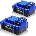 FSKE Upgraded 6500mAh Replacement for Kobalt 24V Battery KB624-03 2Packs