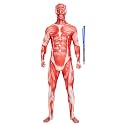 Full Bodysuit Include Zipper Helper Unisex Spandex Stretch Adult Costume Zentai Disappearing Man Body Suit