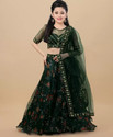 FULPARI Girls Lehenga Choli Ethnic Wear Embroidered Lehenga, Choli and Dupatta Set