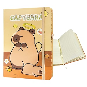 funblast capybara diary for girls  kawaii journal diary for journalling cute notepad for students stationery diaries for writing amp drawing birthday gift for kids a5random