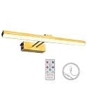 FUNCHDAY Picture Light Wireless,17inch Picture Light Battery Operated,Remote Control Painting Light with Timer and Dimmable,Full Metal Art Light for Display,Wall,Artwork,Portrait,Gallery (Brass)