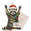 Funny Christmas Ornaments 2026,Raccoon Gifts for Women Animal Lovers, Racoon Christmas Ornament, Christmas Ornaments 2026, Animal Gifts for Friends, Coworker, Raccoon Ornament Christmas Decorations