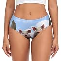 Funny Cute Pigs Printed Print Womens Underwear Briefs, Soft Stretchy No Show Panties Seamless Comfort Everyday Panty Black