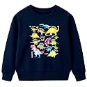 Funnycokid Boys Sweatshirts Toddler Long Sleeve Pullover Crewneck Tops 2-6Y