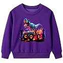 Funnycokid Boys Sweatshirts Toddler Long Sleeve Pullover Crewneck Tops 2-6Y