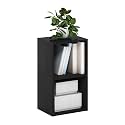 Furinno PASIR Book Shelf, 2-Tier Modern Bookshelf, Open Shelves Bookcase 9 x 12 x 21, Easy Assembly, for Living Room, Bedroom, Home Office, Blackwood