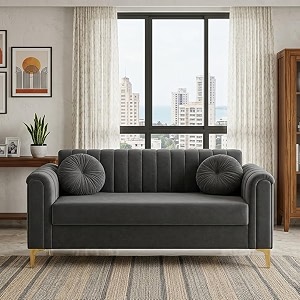 FURNY Dorino 2 Seater Fabric Sofa Set