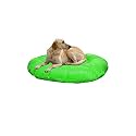 Extra Large Size Dog Bed and mat for Large Size Dog and cat Green Color Ultra Soft Polyester Fill for Extra Comfort Machine Washable
