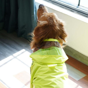 furryfits Raincoat for Dog