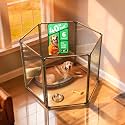 FXW AuraSpace Pro Clear Acrylic Indoor Dog Playpen, 40" H, 6 Panels