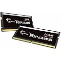 G.SKILL Ripjaws DDR5 SO-DIMM Series DDR5 RAM 32GB (2x16GB) 5600MT/s CL46-45-45-89 1.10V Unbuffered Non-ECC Notebook/Laptop Memory SO-DIMM (F5-5600S4645A16GX2-RS)