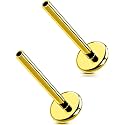 G23 Titanium Flat Back Post (Post Only), Threadless Push Pin &amp; Internally Threaded, 16G/18G/20G, 4.5-14mm, Silver/Gold/Black, Round/Heart/Star/Flower Base for Nose, Helix, Tragus