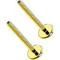 G23 Titanium Flat Back Post (Post Only), Threadless Push Pin &amp; Internally Threaded, 16G/18G/20G, 4.5-14mm, Silver/Gold/Black, Round/Heart/Star/Flower Base for Nose, Helix, Tragus