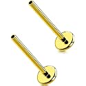 G23 Titanium Flat Back Post (Post Only), Threadless Push Pin &amp; Internally Threaded, 16G/18G/20G, 4.5-14mm, Silver/Gold/Black, Round/Heart/Star/Flower Base for Nose, Helix, Tragus