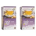 Gaia Ginger Green Tea | Relieves sore throat | 25 Tea Bags | weight loss | boost metabolic rate | Anti-aging | High antioxidant activity | Improves Immunity (Pack of 2)