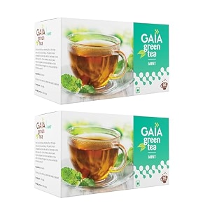 gaia mint green teapack of 2cool amp refreshing mint flavour green tea now available in a 25 convenient tea bags each for an energizing boost 907 gram