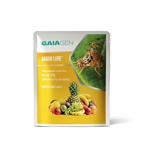 gaiagen bador lure  pheromone lure for fruit fly bactrocera dorsalis  pack of 10  does not include traps