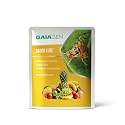 Gaiagen Bador Lure | Pheromone Lure for Fruit Fly (Bactrocera Dorsalis) | Pack of 10 | (Does Not Include Traps).