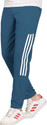 GAJVU Striped Men Blue White Track Pants