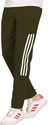 GAJVU Striped Men Dark Green Track Pants