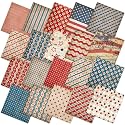 Ganeen 60 Pcs 10 x 10 Inch Vintage Red White Blue Quilting Fabric Squares
