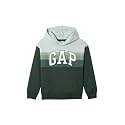 GAP Boys' Logo Pullover Hoodie