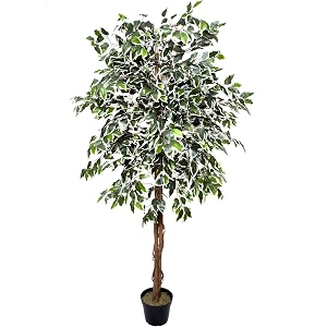 garden art artificial ficus variegated 160cm with pot  real touch elegant indoor home officeparty wedding decor gajw087-1