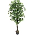 Garden Art Artificial Plant with Pot| 150CM Real Touch Elegant Indoor Home, Office,Party, Wedding Decor GAJW3613 (Ficus Green)