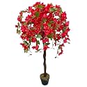 Garden Art Artificial Bougainvillea Plant with Pot (Tomato Red, 120 cm) | Real Touch Tall Indoor Plant for Home, Office, Party &amp; Wedding Decor | (GAJW3651)