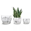 Garden Art Ceramic Plant Pots Set of 3 (20.7x20.7X19.5CM/16.7X16.7X16.5CM/14x14X13.5 CM) with Drainage Holes,Round Indoor Pot for Plants with Saucer,Outdoor Garden Pots,Black Wave (GA84007-W)
