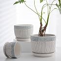 Garden Art Ceramic Pot for Plants (GA84013-WL)