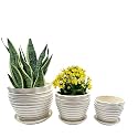 Garden Art Ceramic Pot for Plant Pot (21x21x19.2cm/18x18x12.5cm/14x14x12.5cm) (Set of 3) with Drainage Holes,Round Indoor Pot for Plants Ceramic Planters with Saucer,Outdoor Garden Pots (GA90021-W)